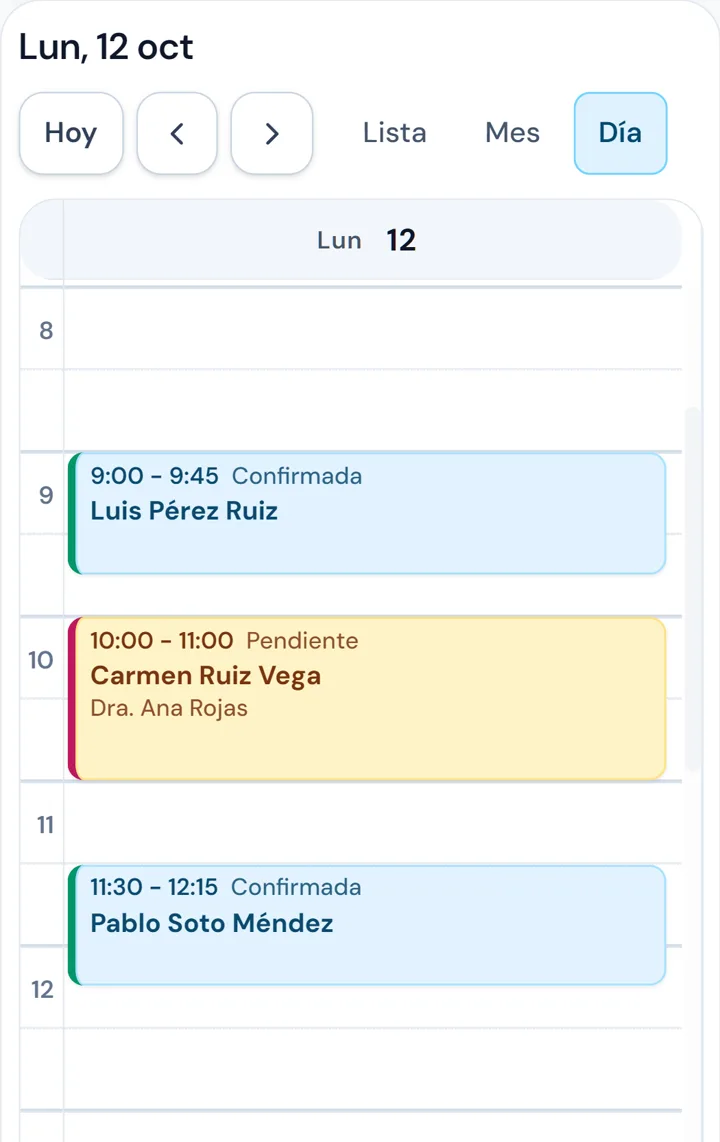 Agenda de PhysioClinicPro: citas por terapeuta con hora, estado (confirmada en celeste, pendiente en amarillo) y paciente.